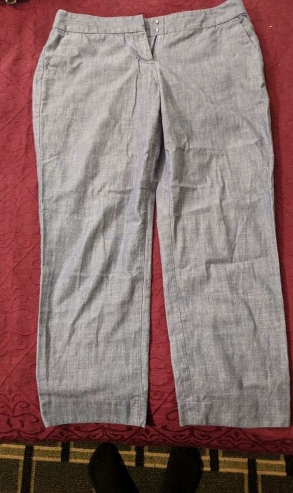 Dressy or Casual capris